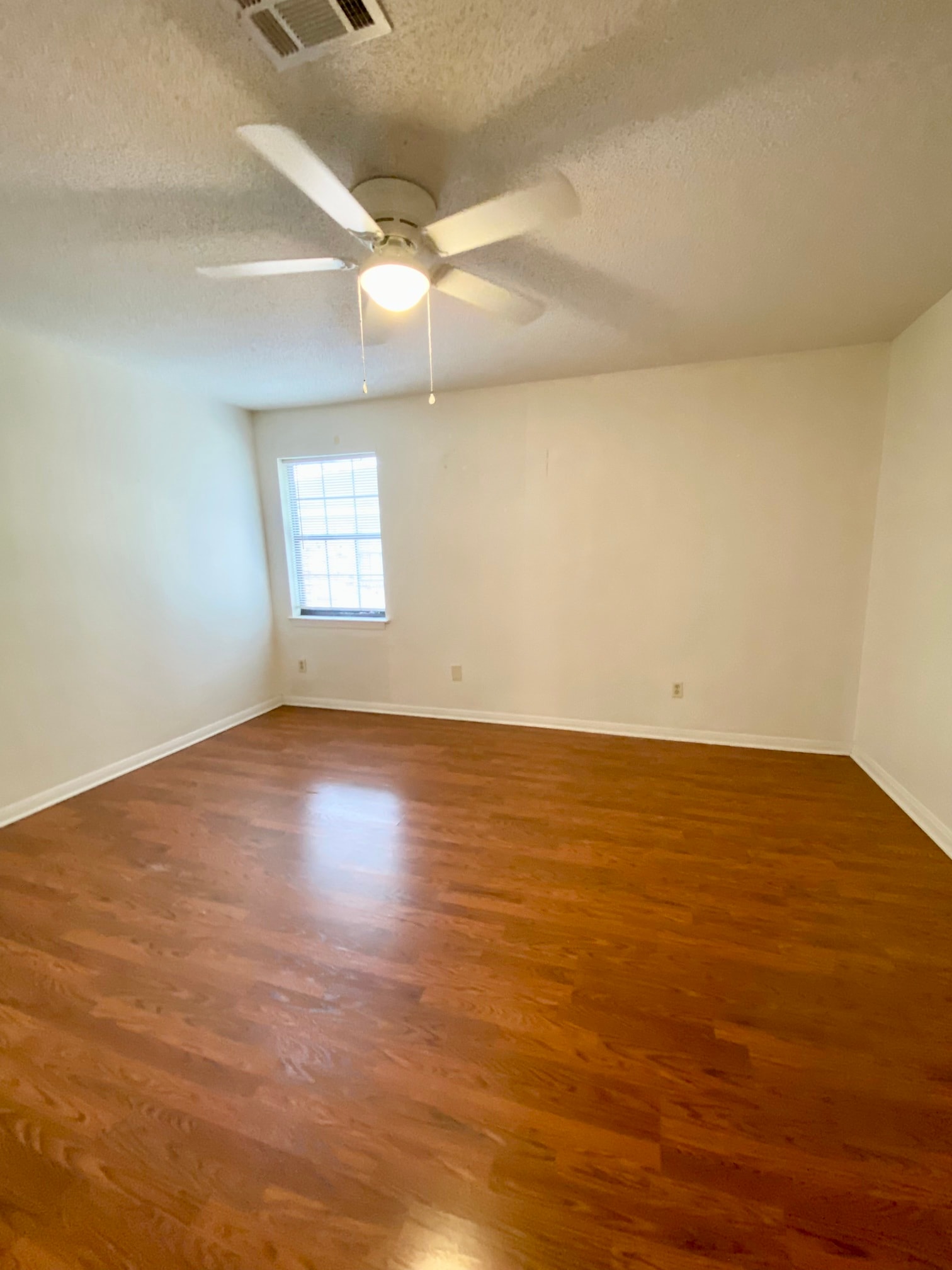 Gallery Photo 4