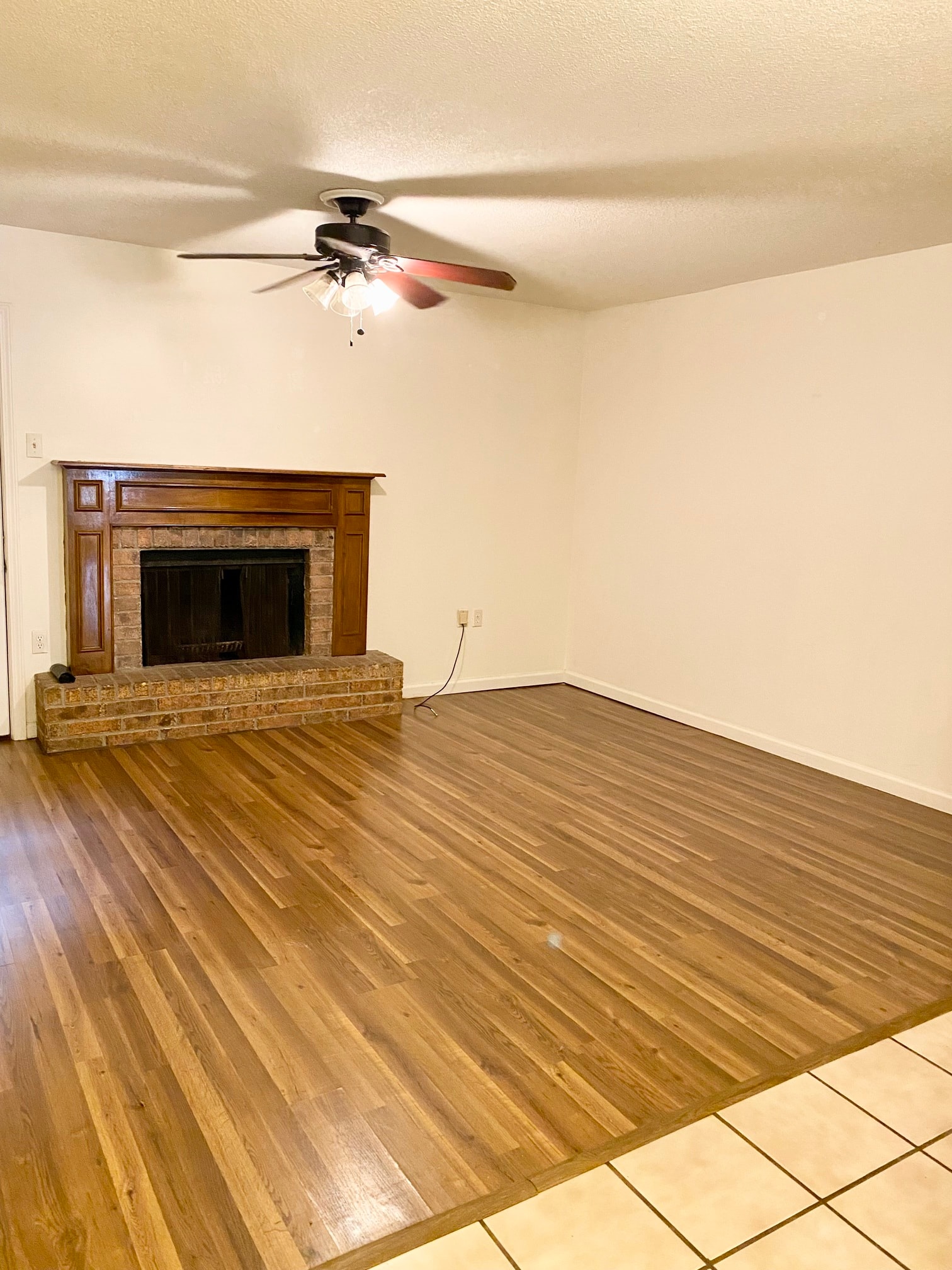 Gallery Photo 11