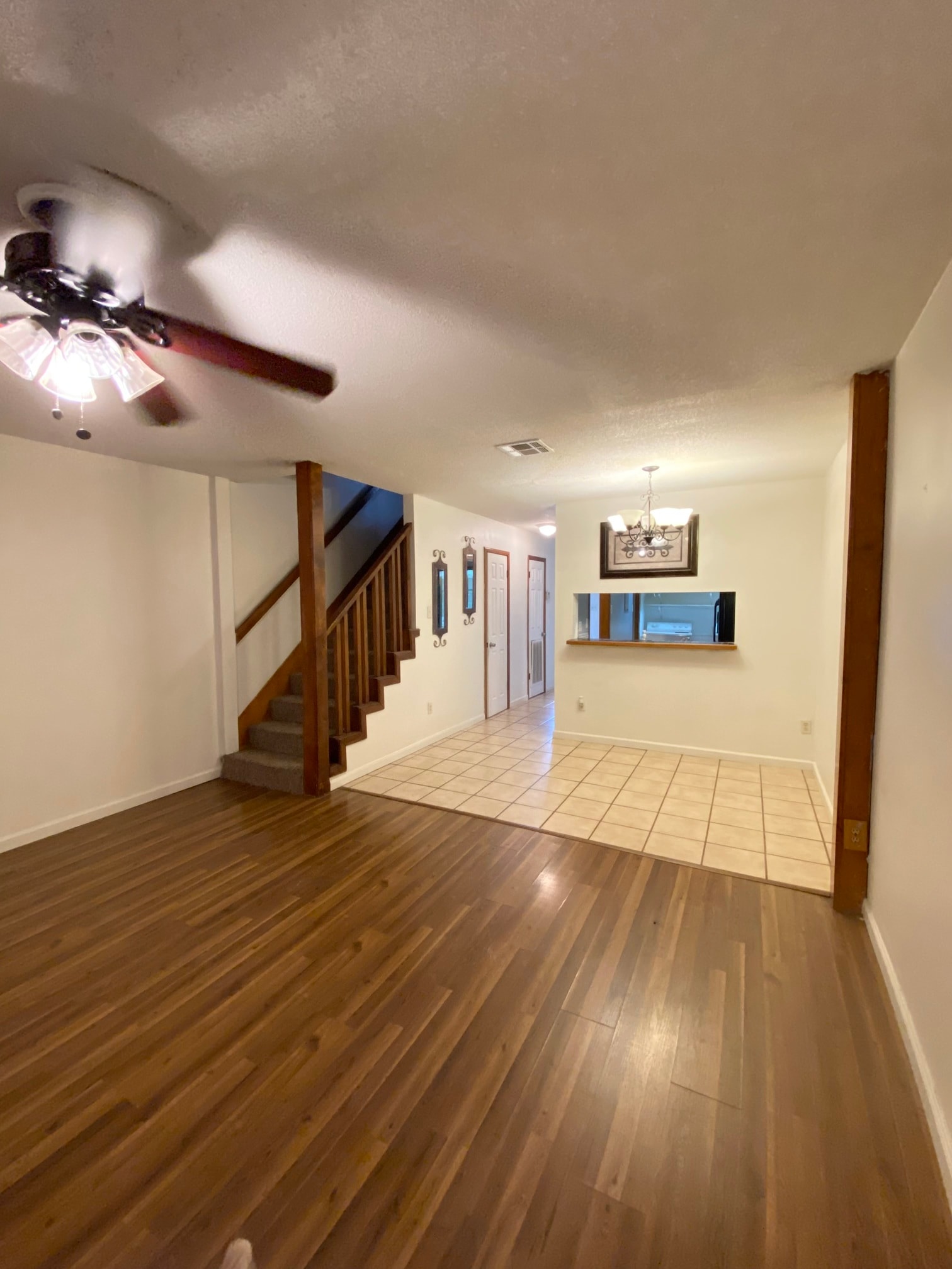 Gallery Photo 5