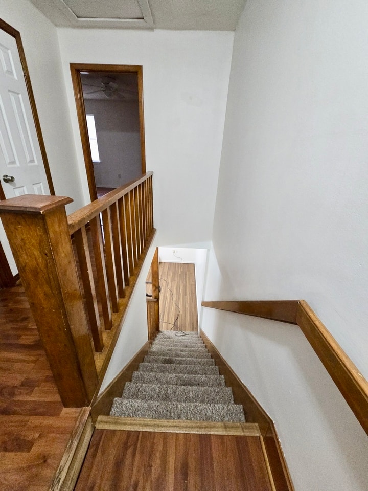 Gallery Photo 3
