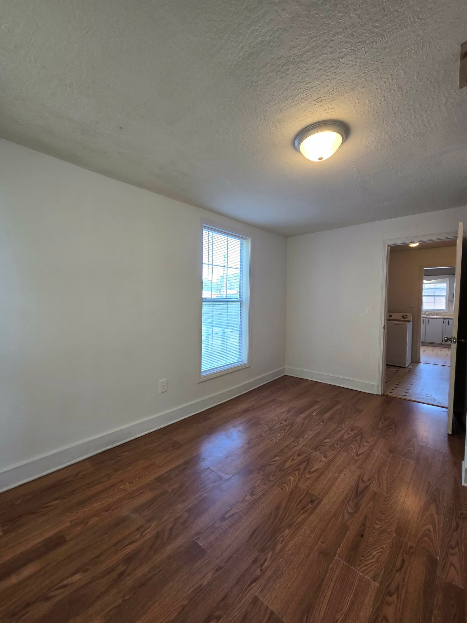 Gallery Photo 7