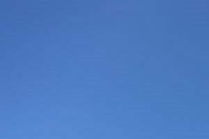 Photos and Video of Prescott Wallingford Apartments in Seattle, WA