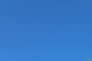 Photos and Video of Prescott Wallingford Apartments in Seattle, WA