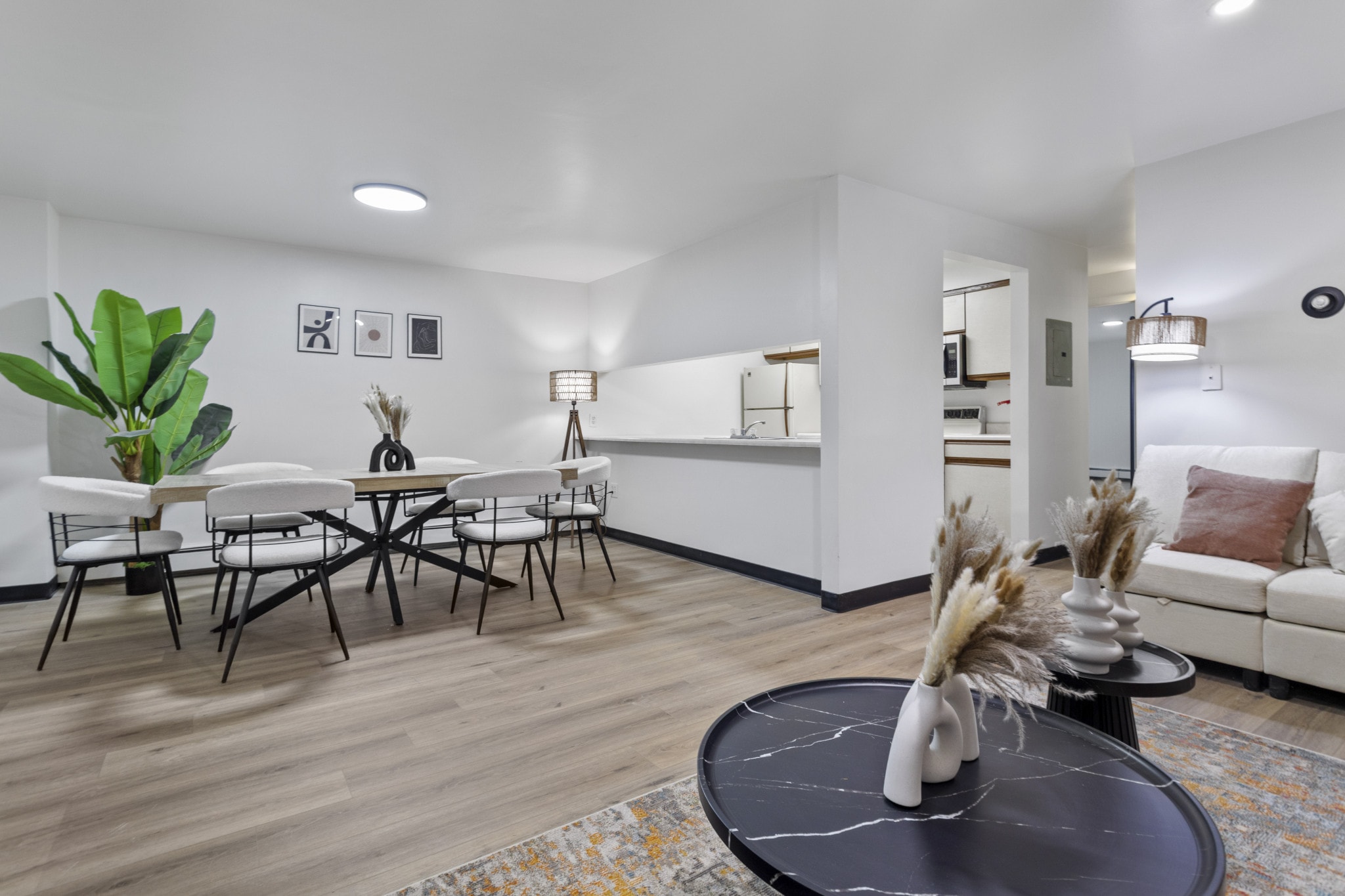 Gallery Photo 18