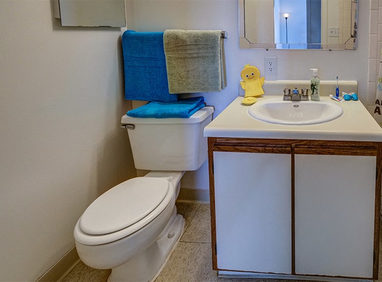 Two Bedroom Style Apartment Bathroom at Loper Commons