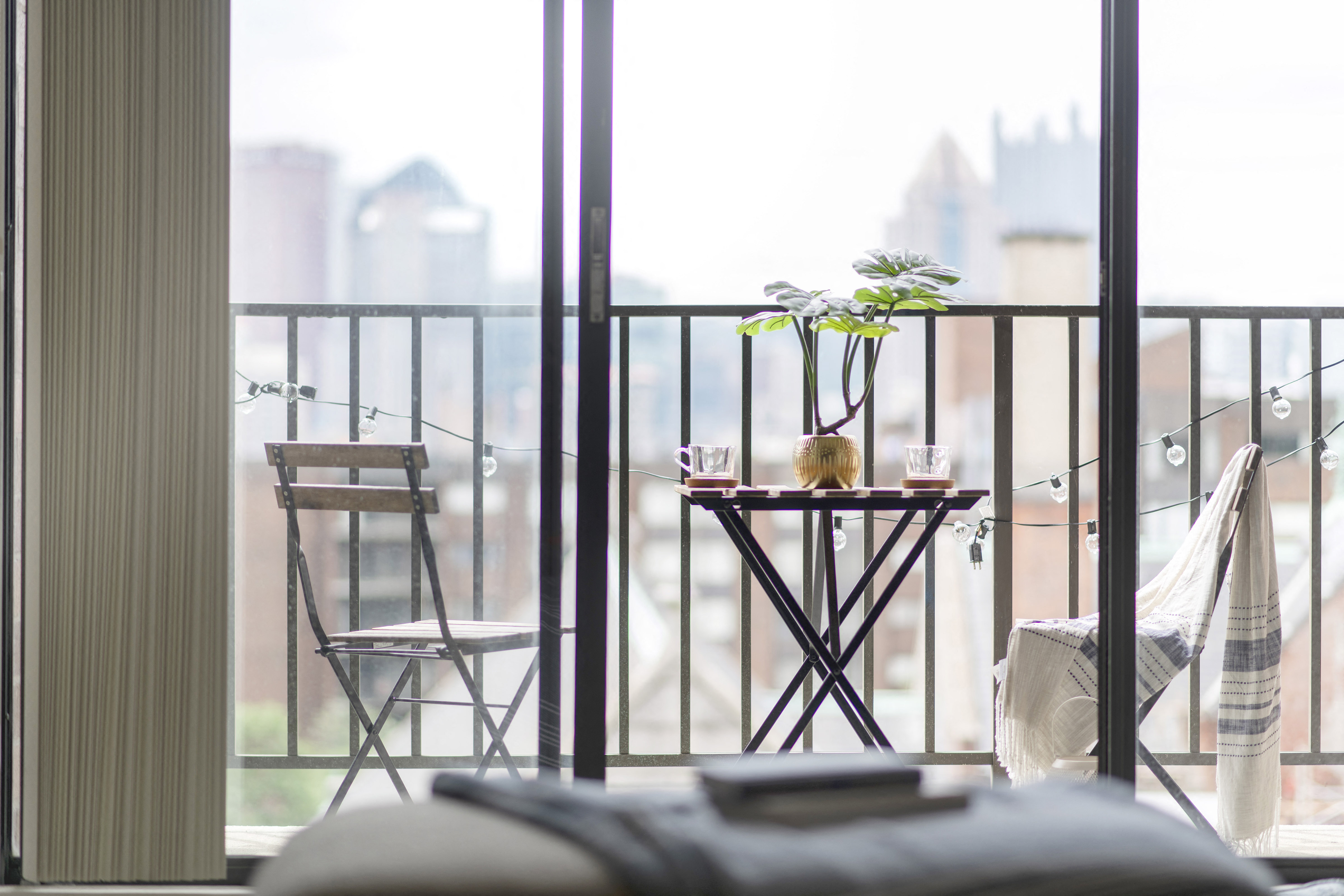 Park View Window View