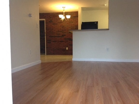Gallery Photo 19