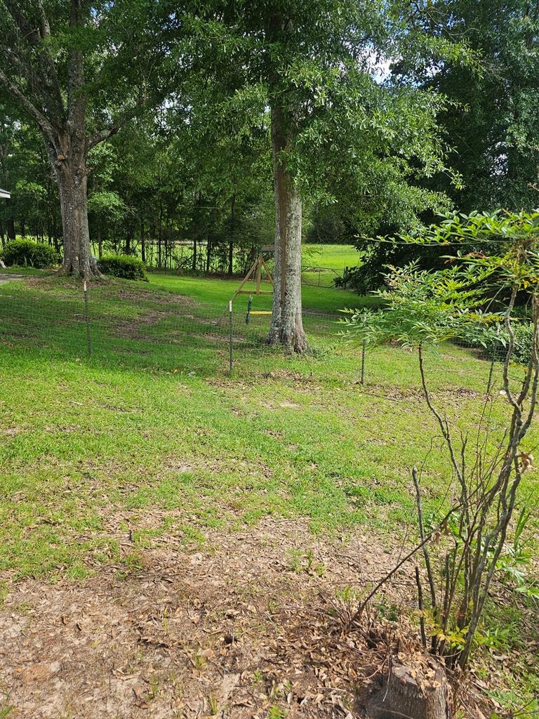 Gallery Photo 35