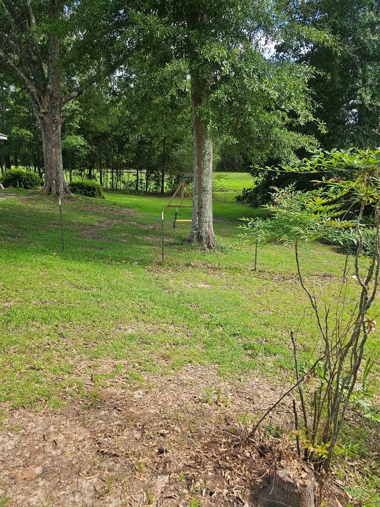 Gallery Photo 35