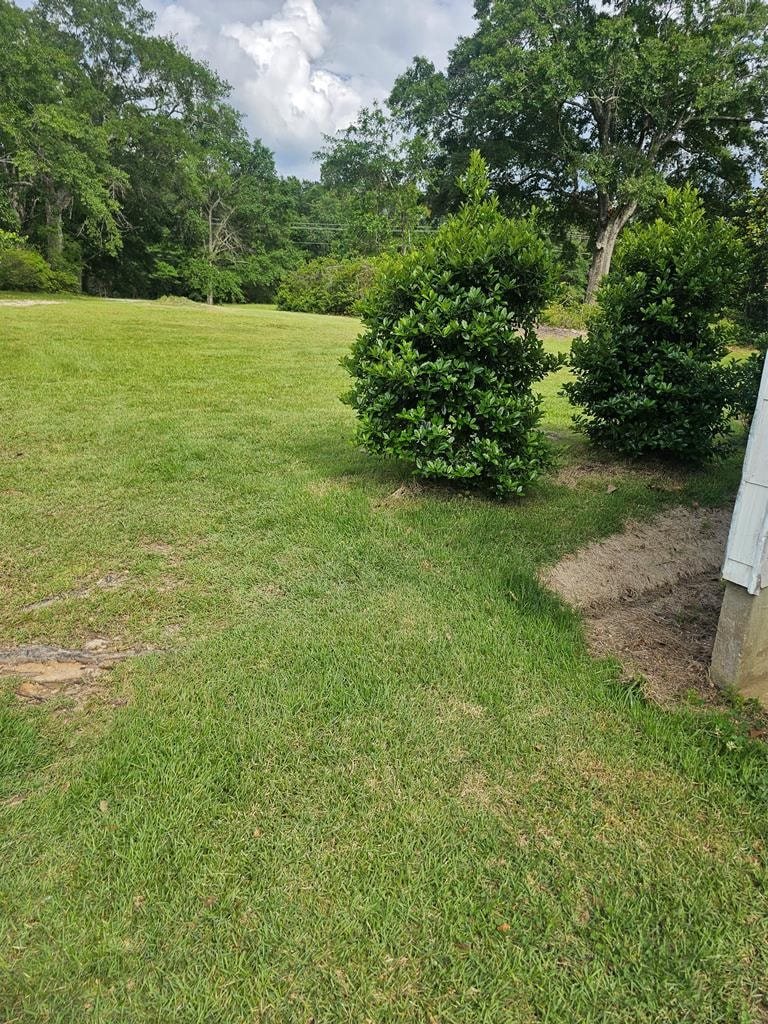 Gallery Photo 36