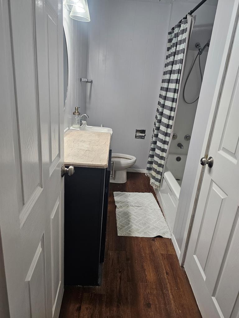 Gallery Photo 11