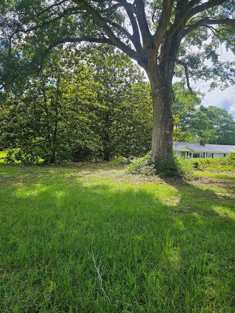 Gallery Photo 33