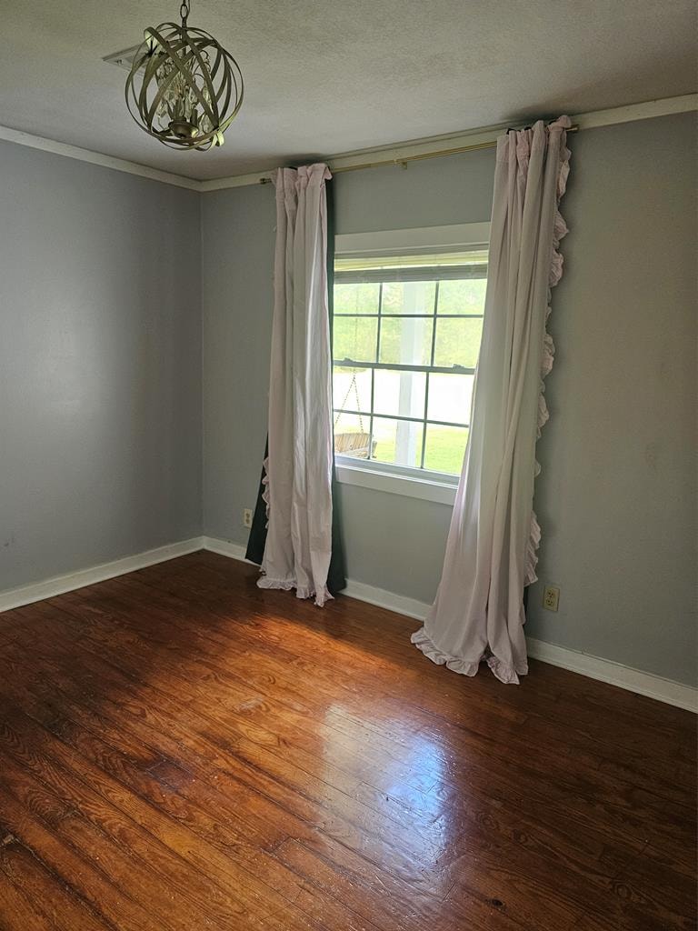 Gallery Photo 16
