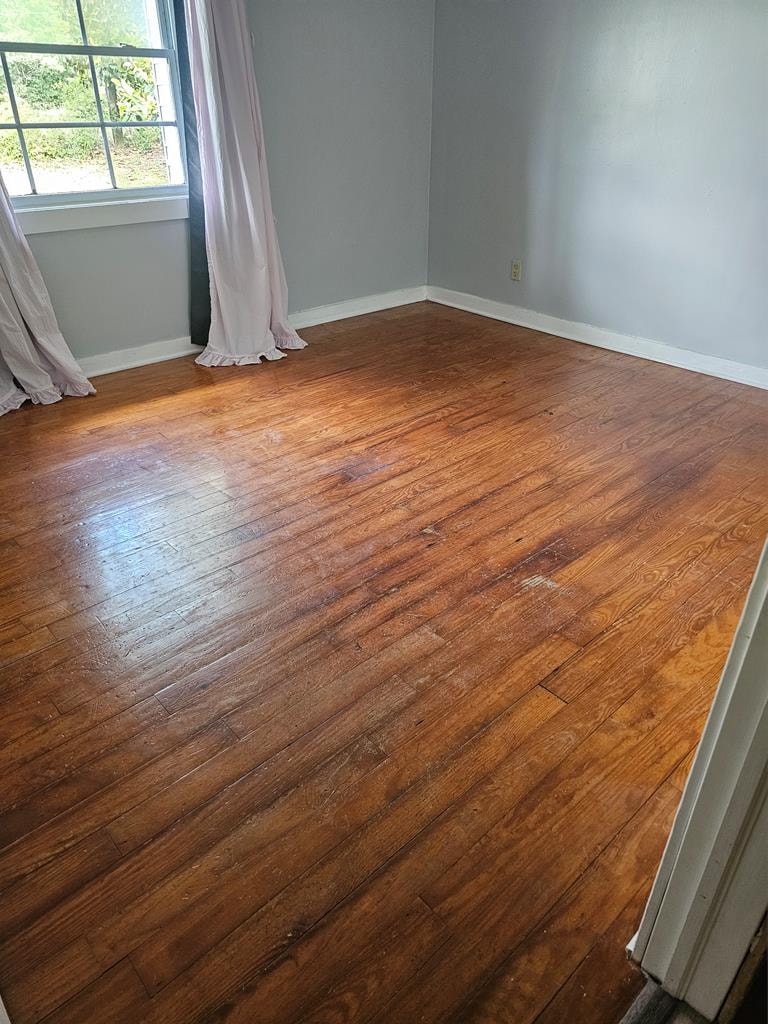 Gallery Photo 15