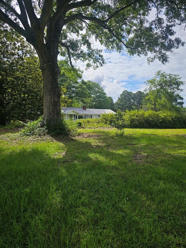 Gallery Photo 29