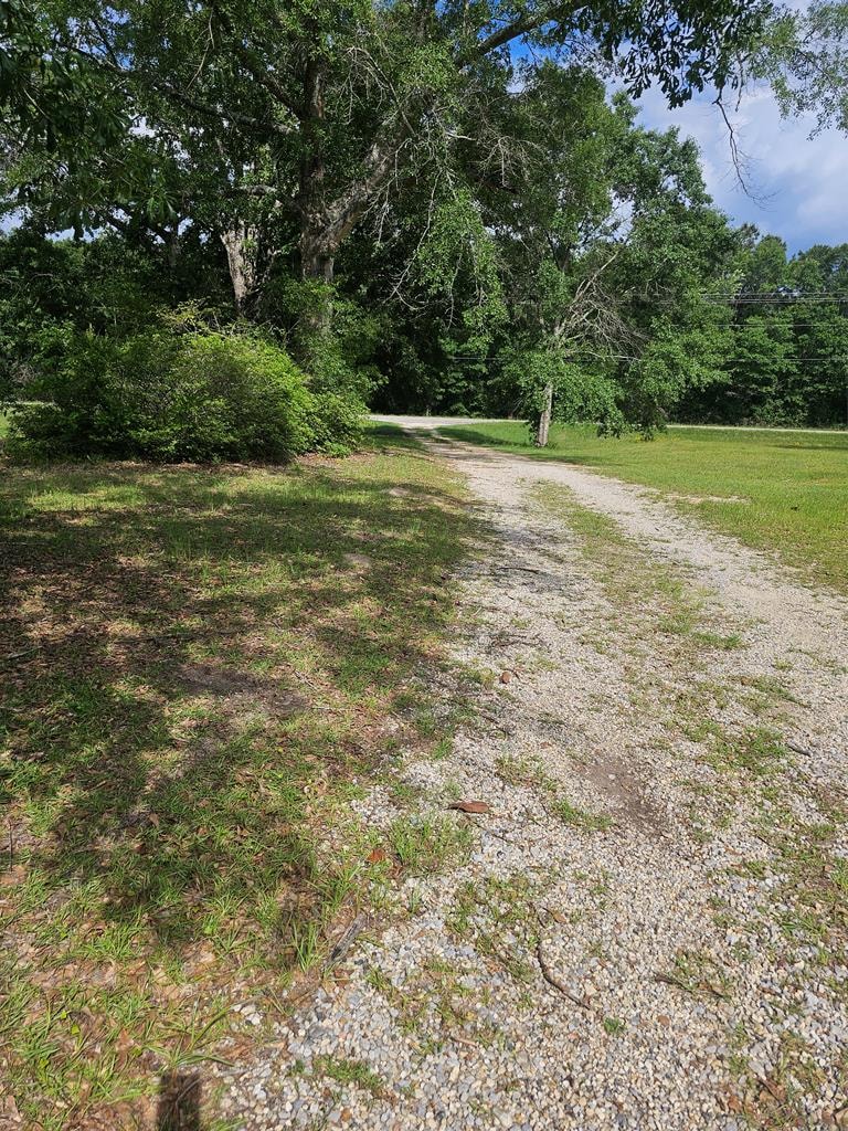 Gallery Photo 37