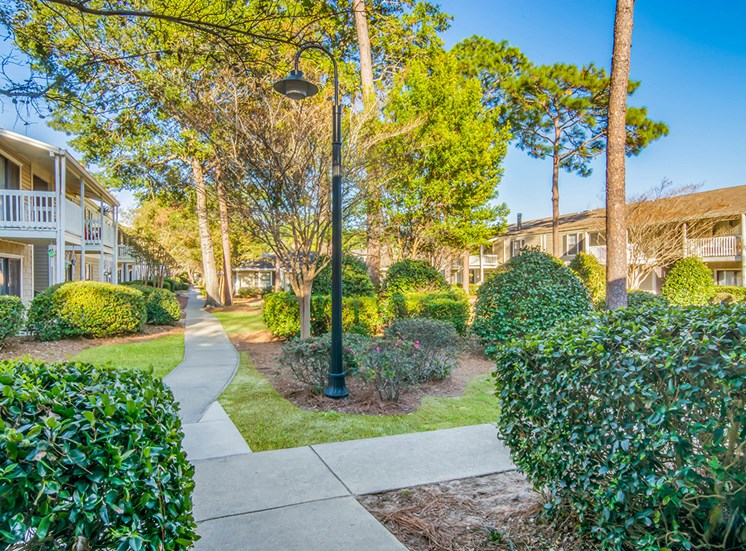 Woodcliff apartment residences and natural landscaping in Pensacola, Florida
