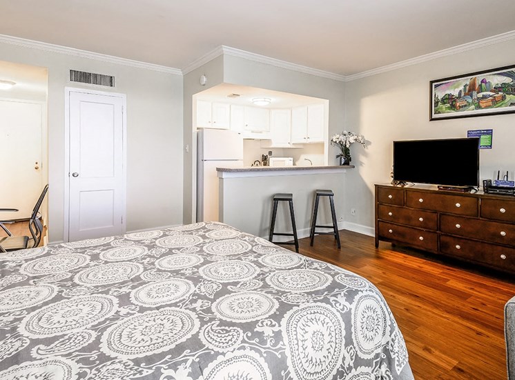 Studio apartment for rent at The Georgian in New Orleans