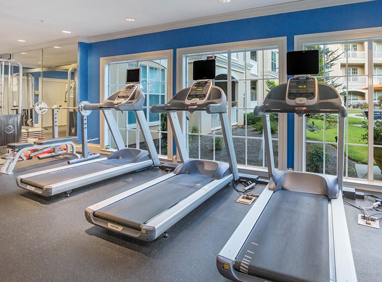 Treadmills in The Savoy's 24-hour fitness center