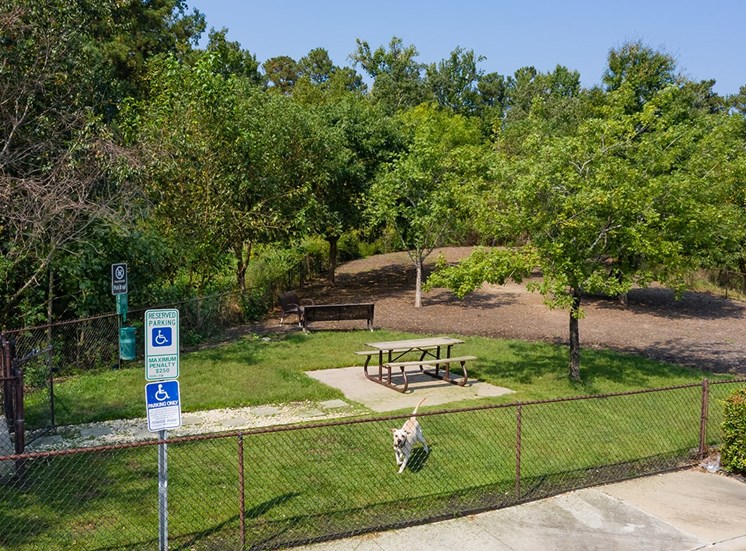Perry Point apartments dog park in Raleigh, North Carolina