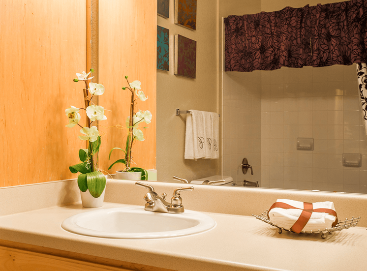 Retreat at City Center model suite bathroom in Aurora, Colorado