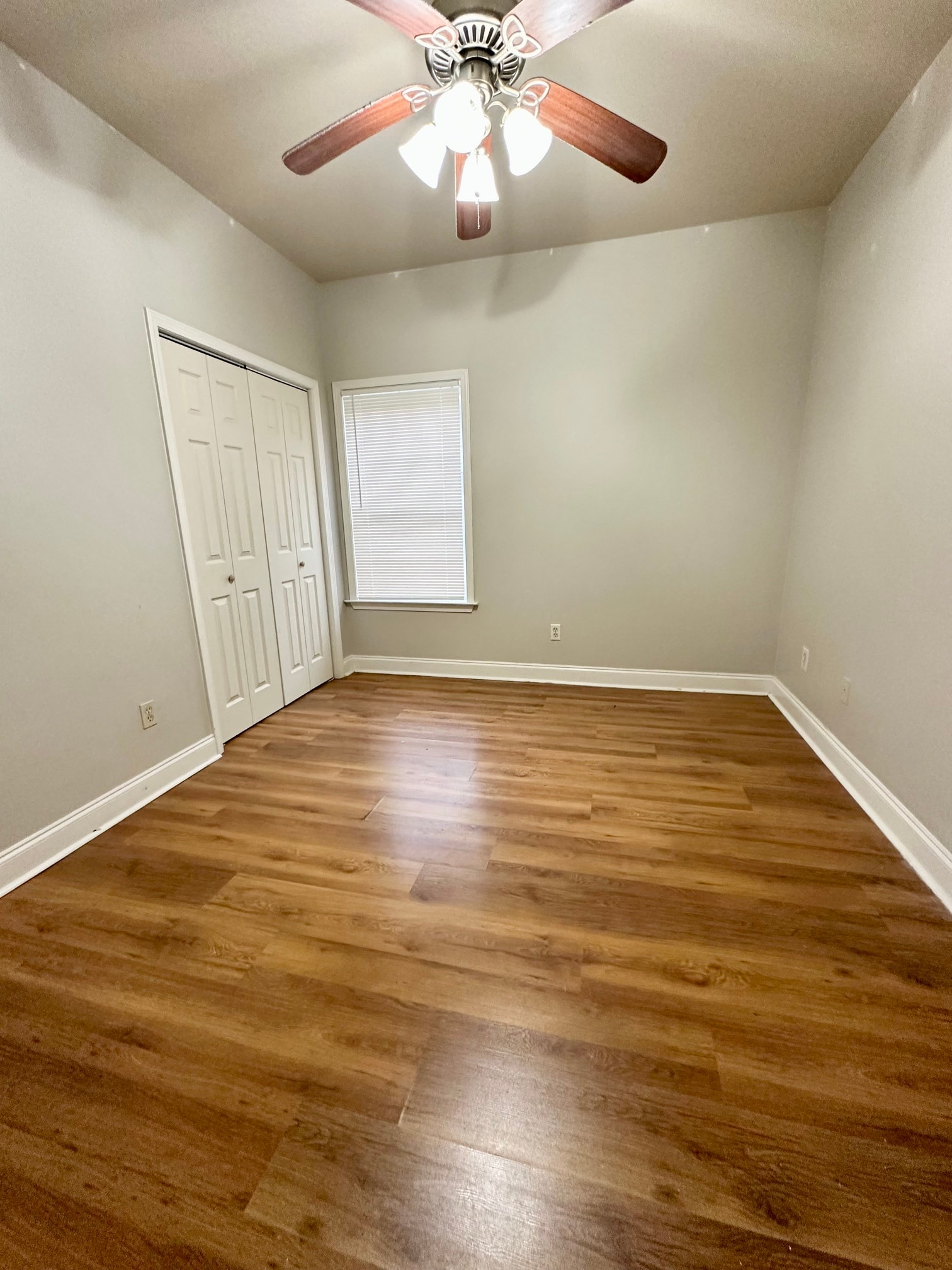 Gallery Photo 4