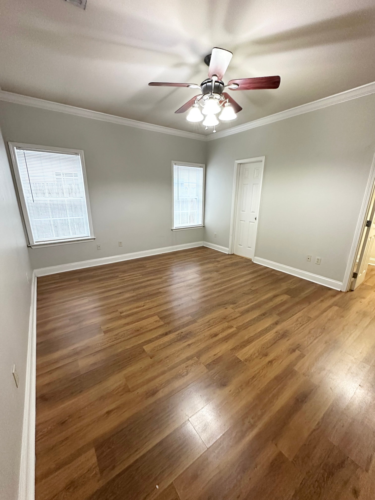 Gallery Photo 12