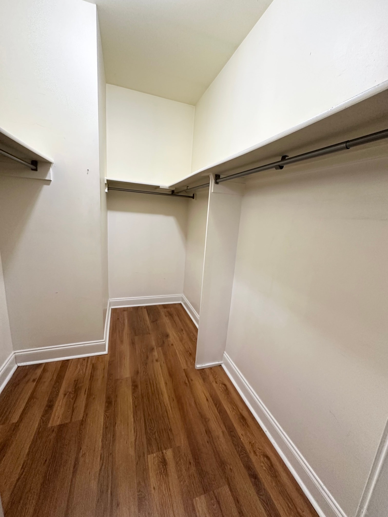 Gallery Photo 2