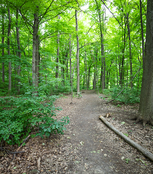 The Arista Apartments For Rent In Mississauga