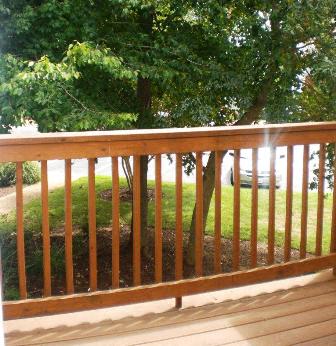 Gallery Photo 13