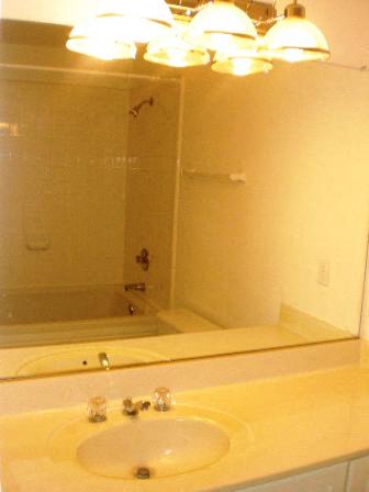 Gallery Photo 11