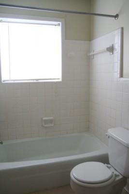 Gallery Photo 6