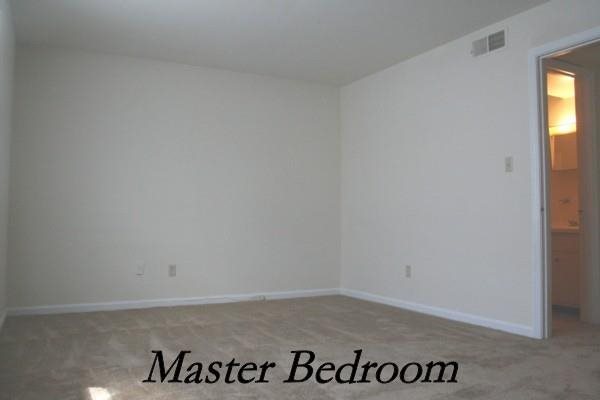 Gallery Photo 5