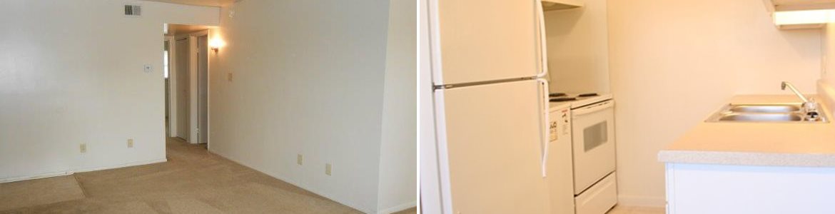 Gallery Photo 0