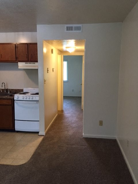 Gallery Photo 5