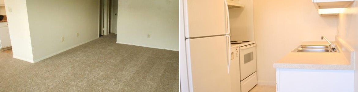 Gallery Photo 0