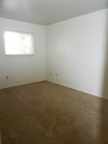 Gallery Photo 10