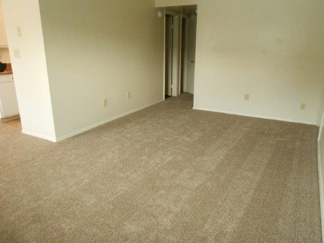 Gallery Photo 3