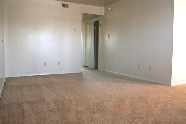 Gallery Photo 5