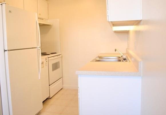 Gallery Photo 7