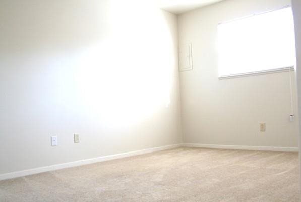 Gallery Photo 8