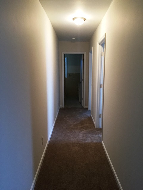Gallery Photo 6