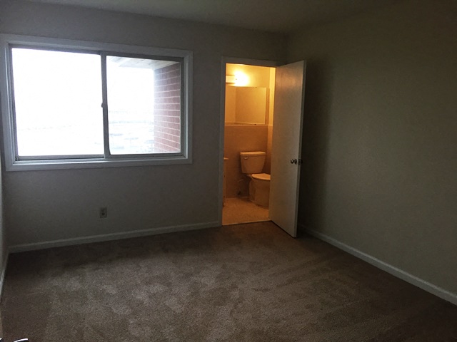Gallery Photo 10