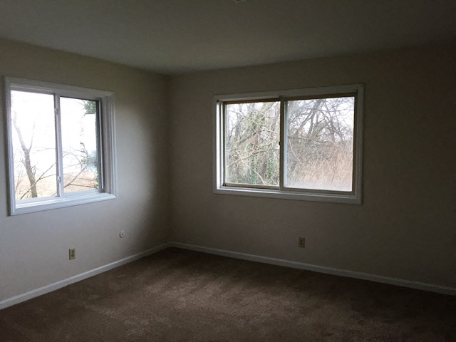 Gallery Photo 9