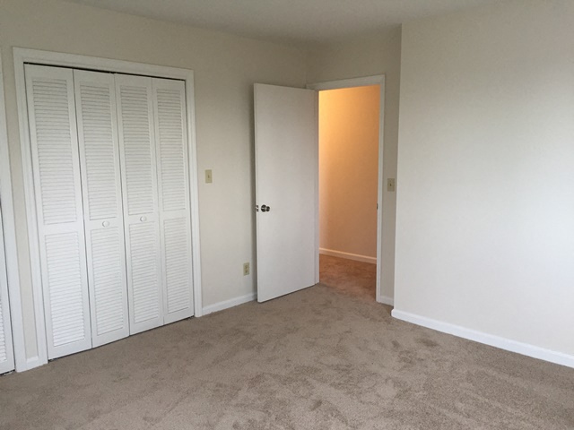 Gallery Photo 7