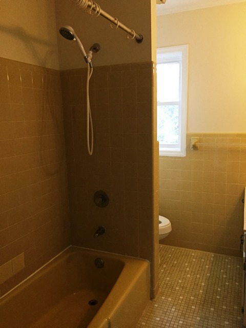 Gallery Photo 12