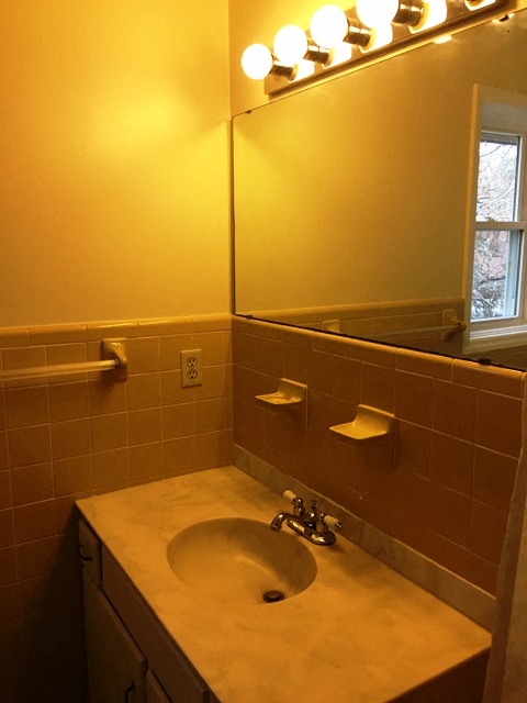 Gallery Photo 13