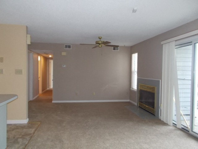 Gallery Photo 2