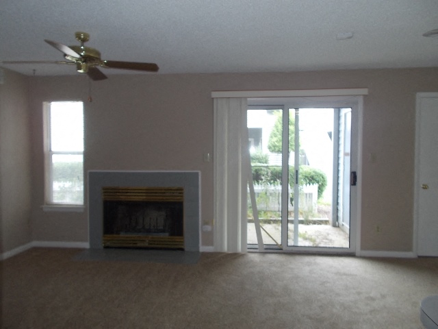 Gallery Photo 4