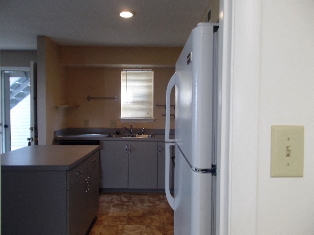 Gallery Photo 7